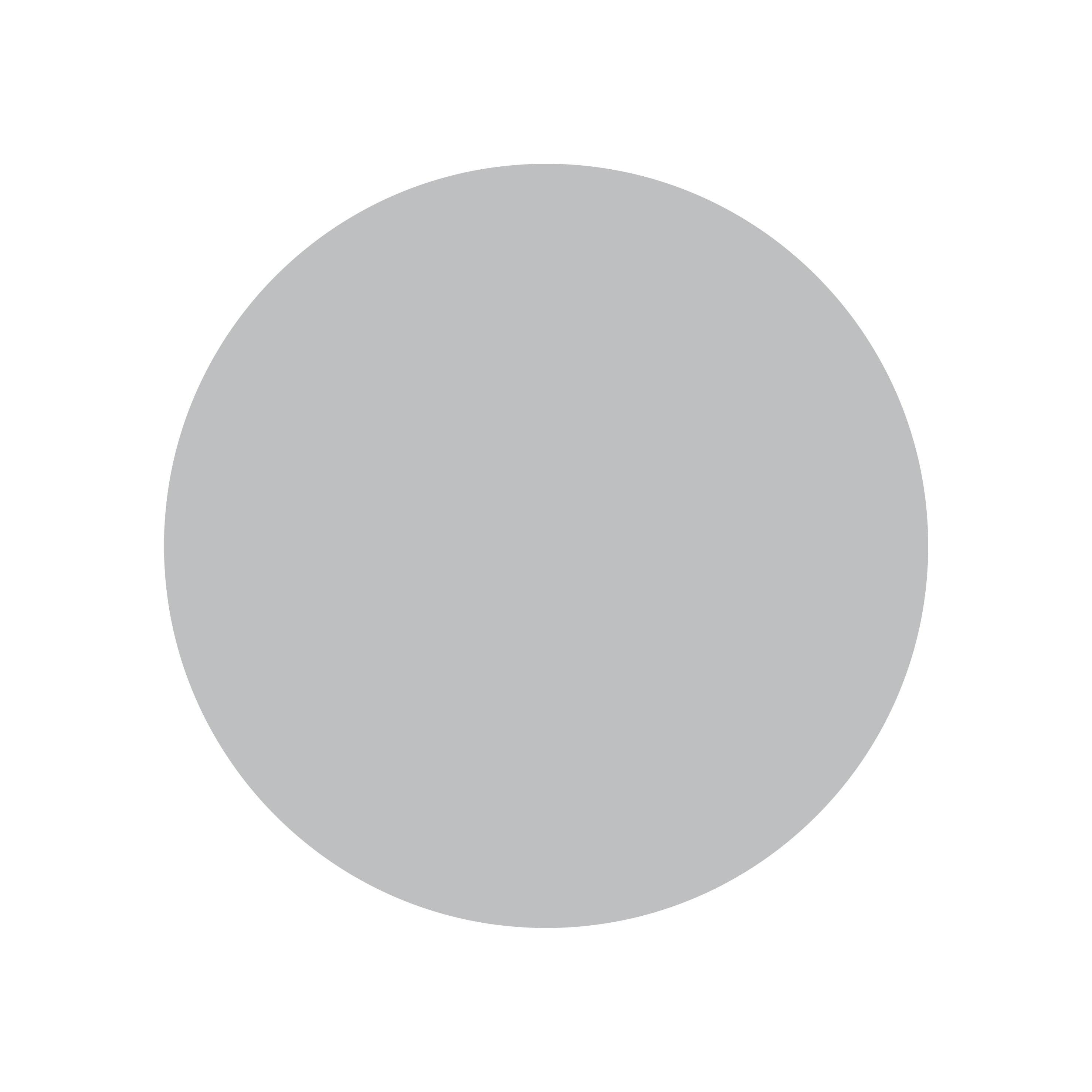 Markierungspunkt grau/silber / Vinyl
