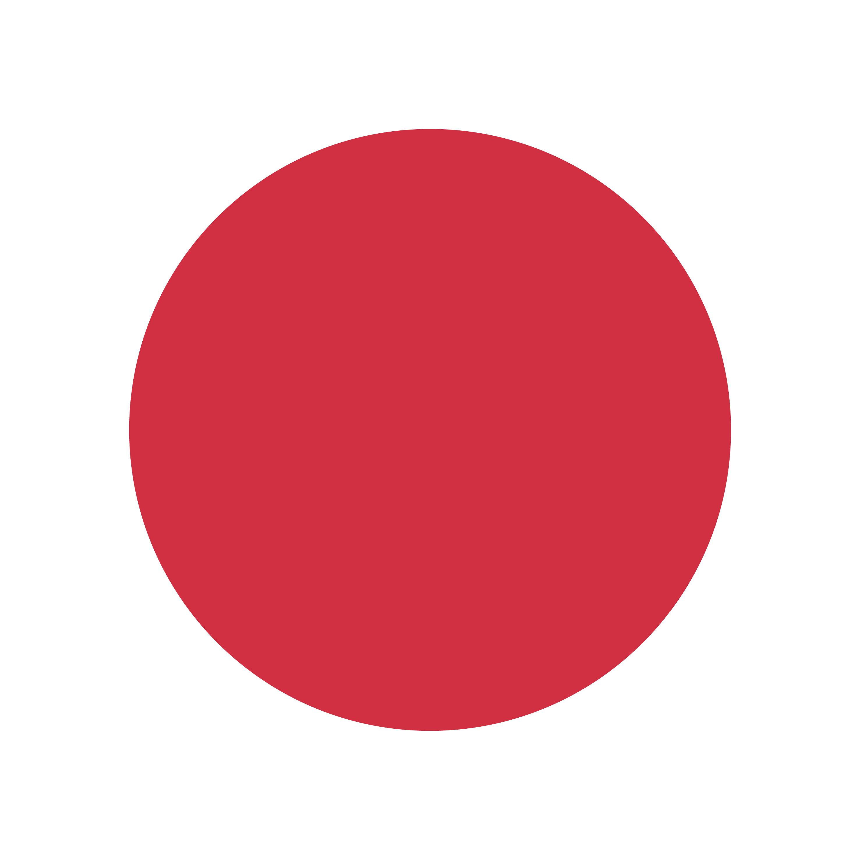Markierungspunkt rot / Vinyl
