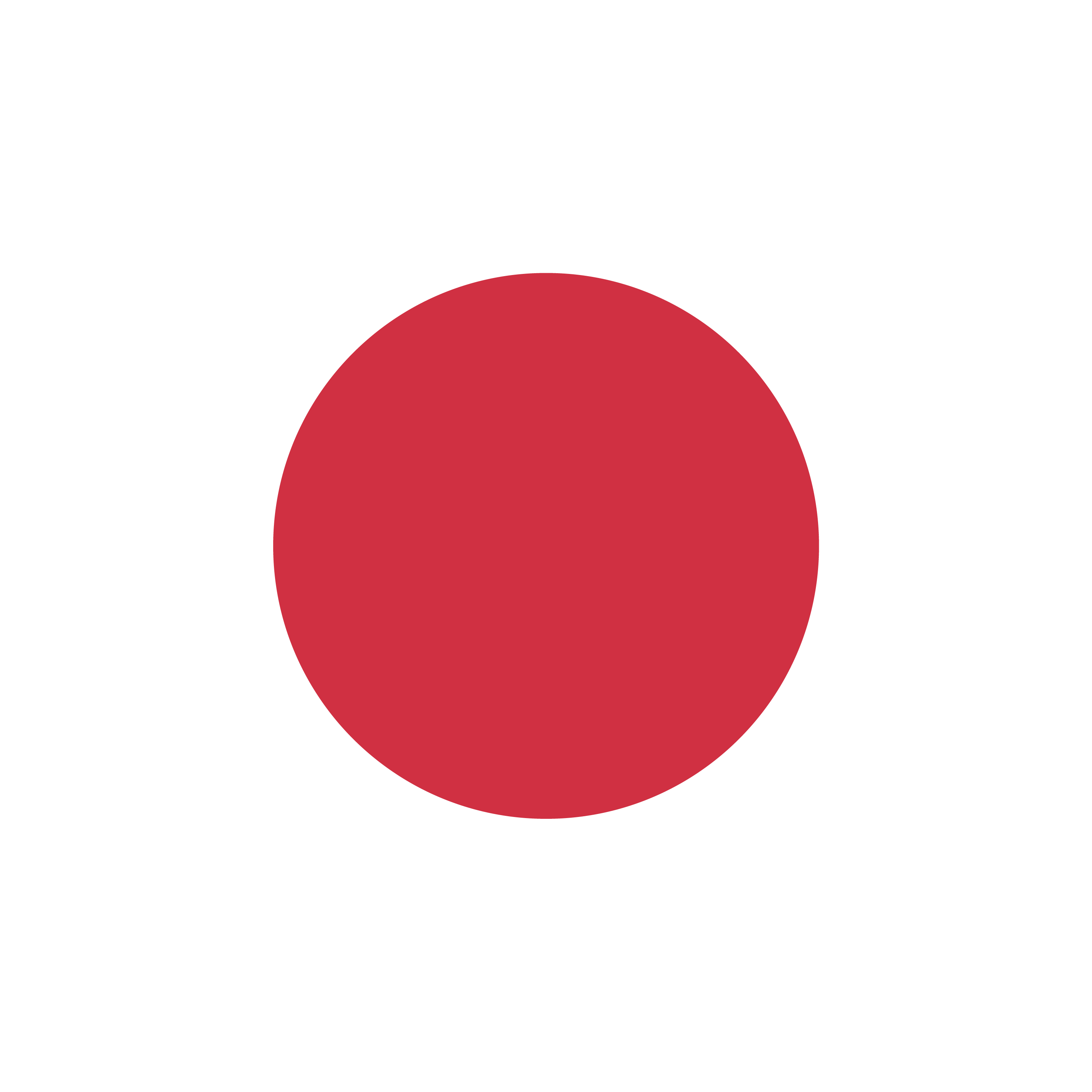 Markierungspunkt rot / Vinyl