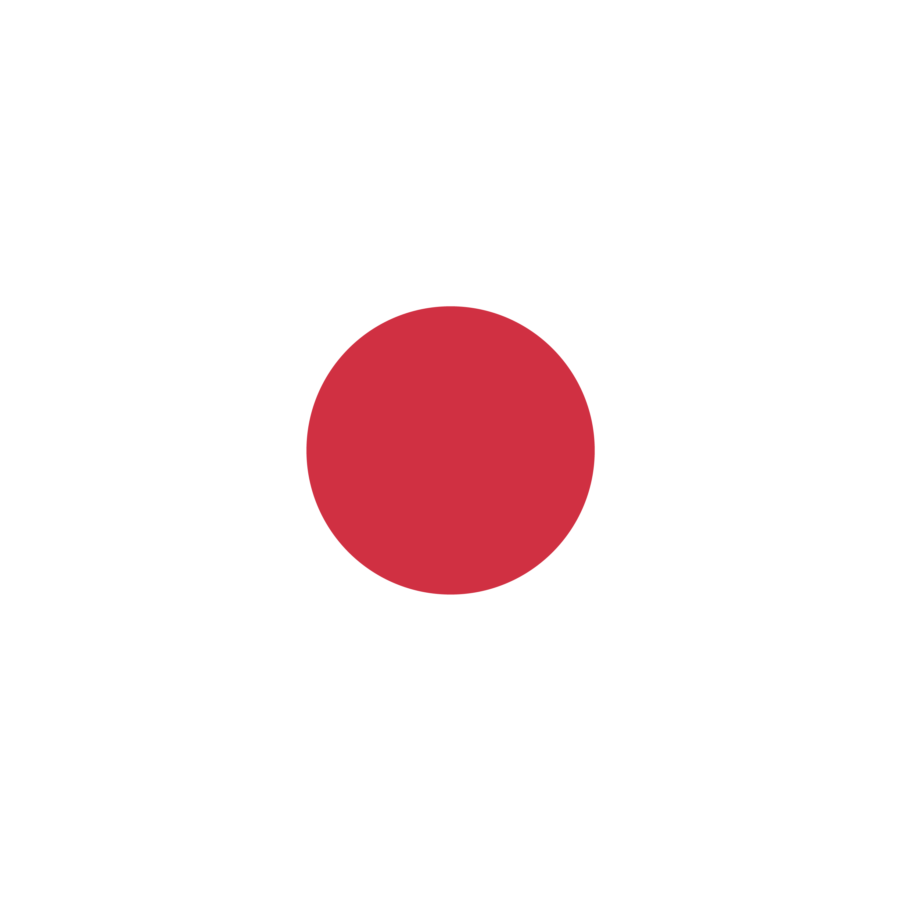 Markierungspunkt rot / Vinyl