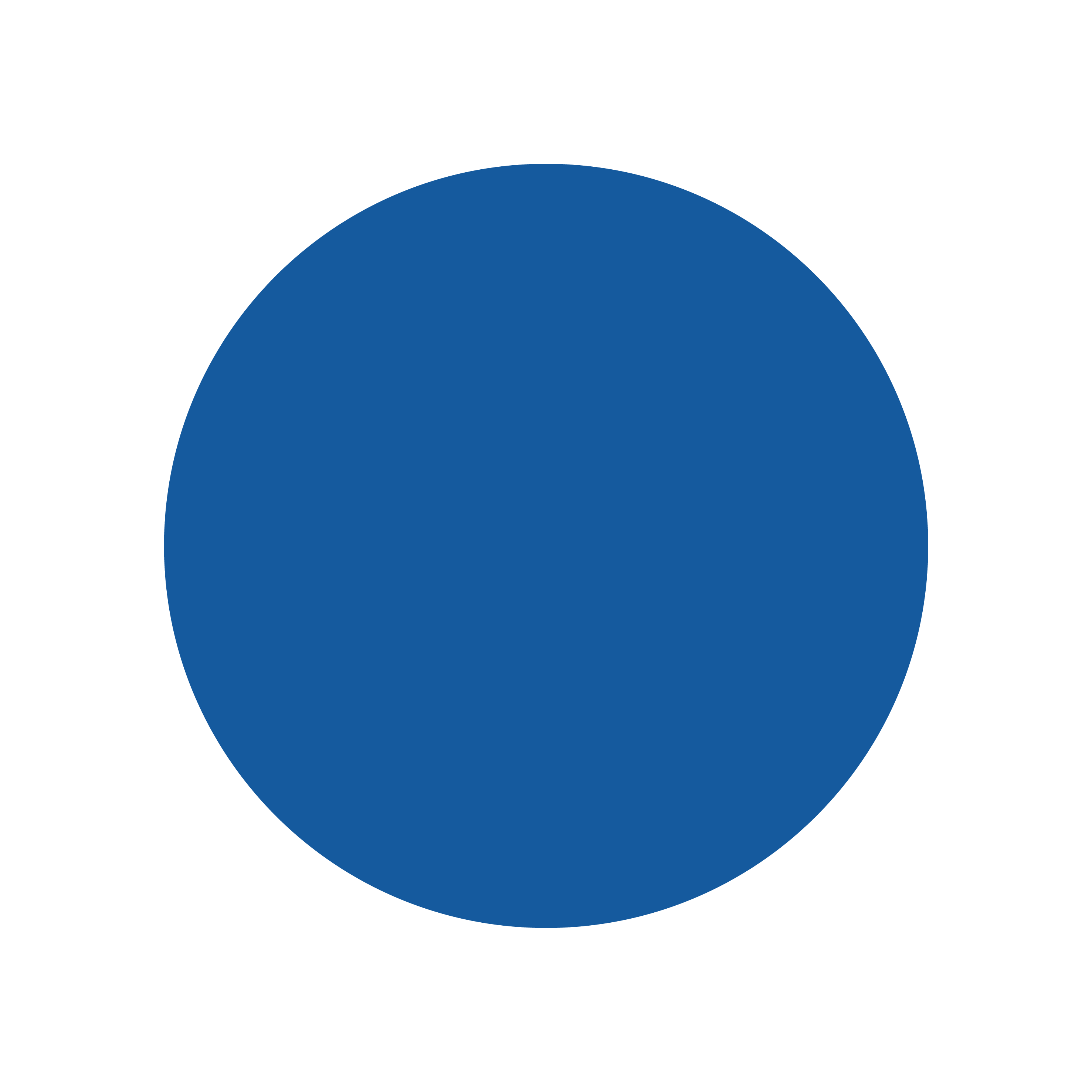 Markierungspunkt blau / Vinyl