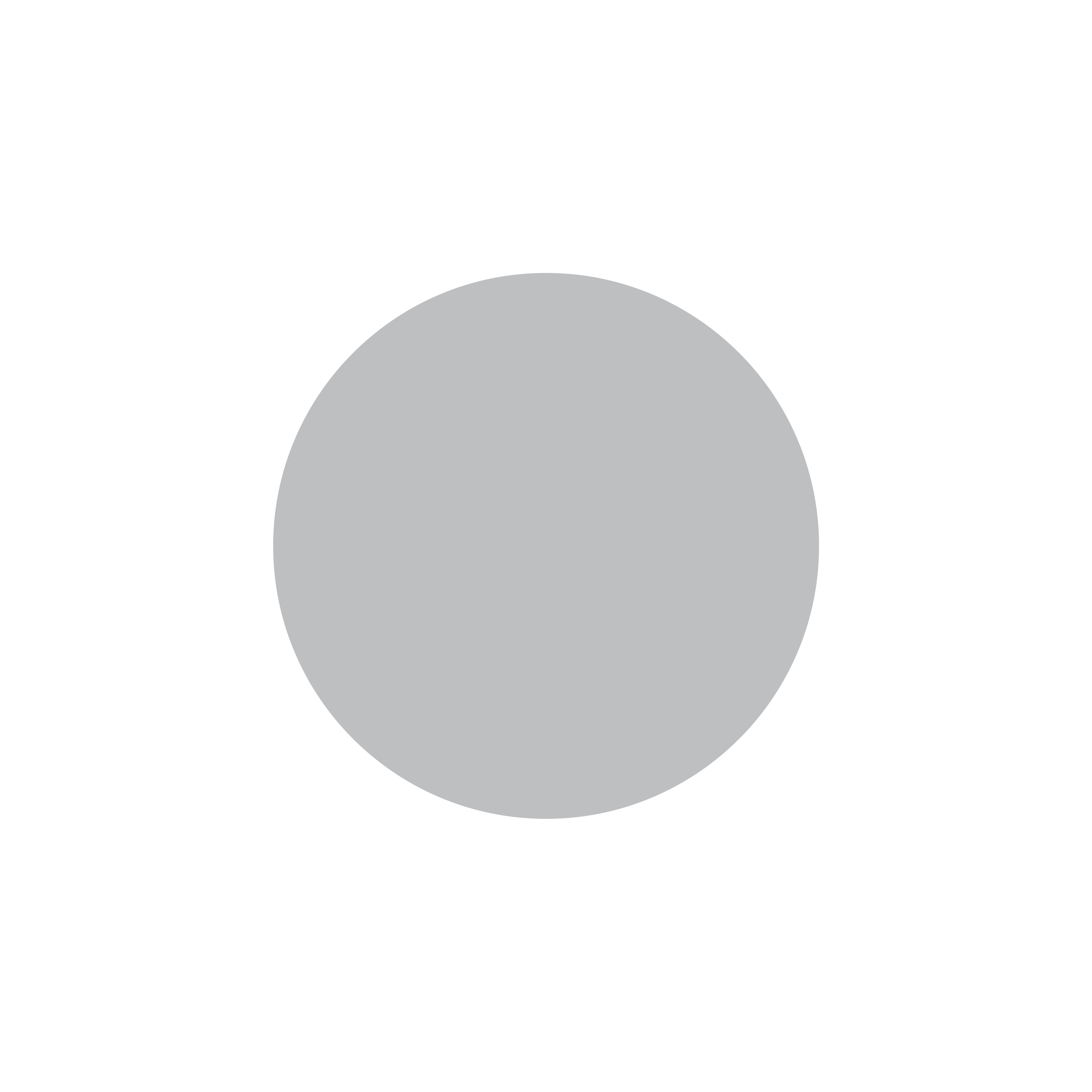 Markierungspunkt grau/silber / Vinyl