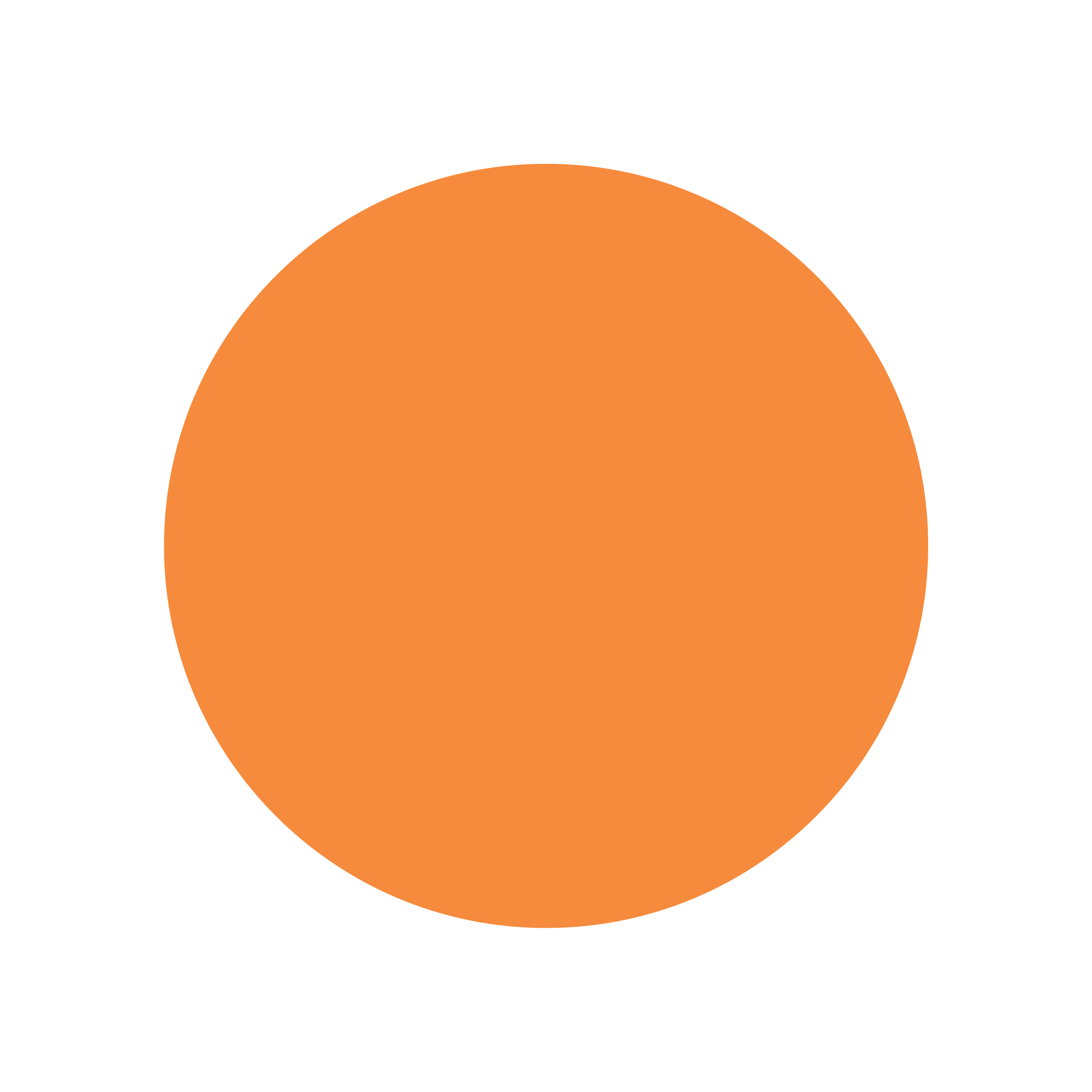 Markierungspunkt orange / Vinyl