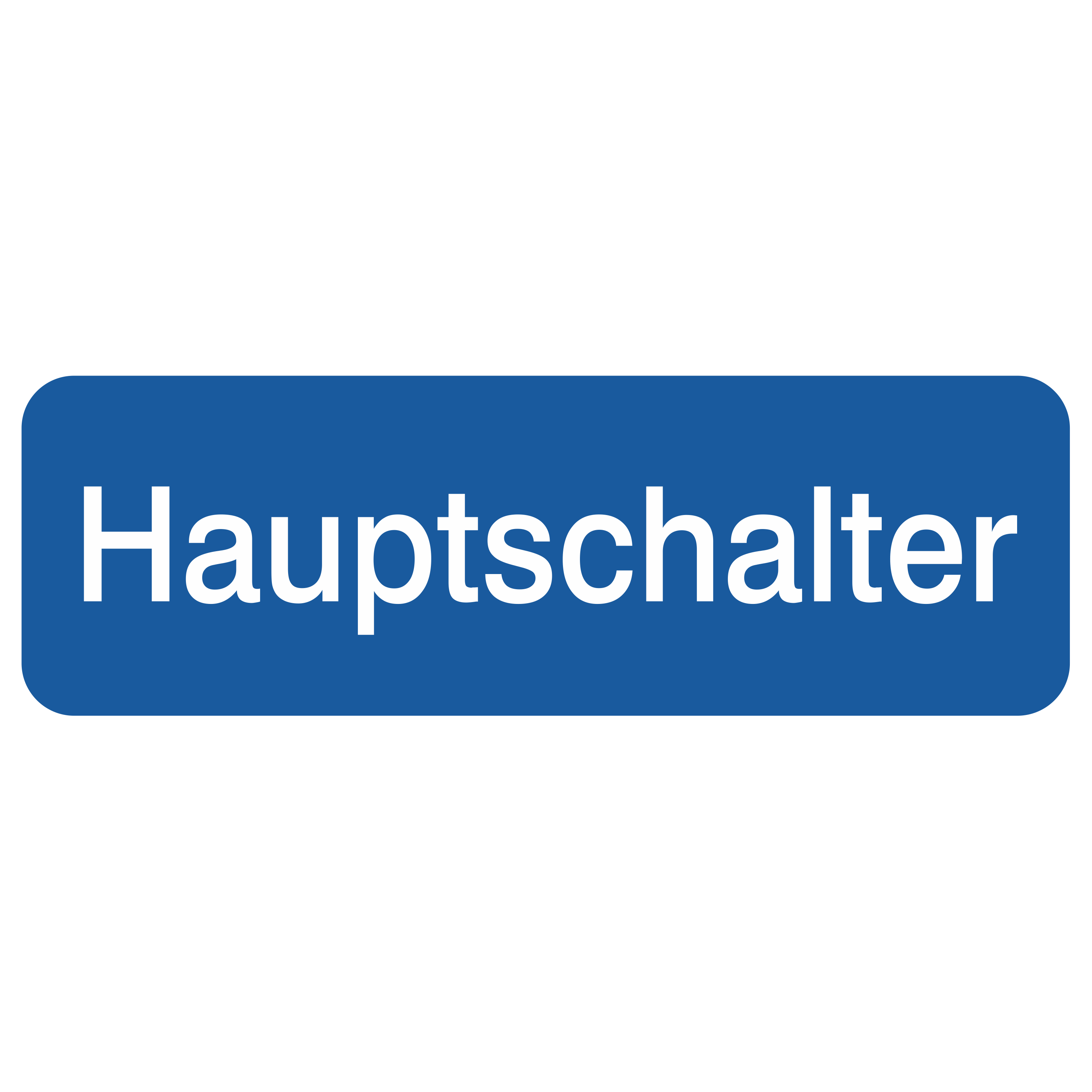 Hauptschalter