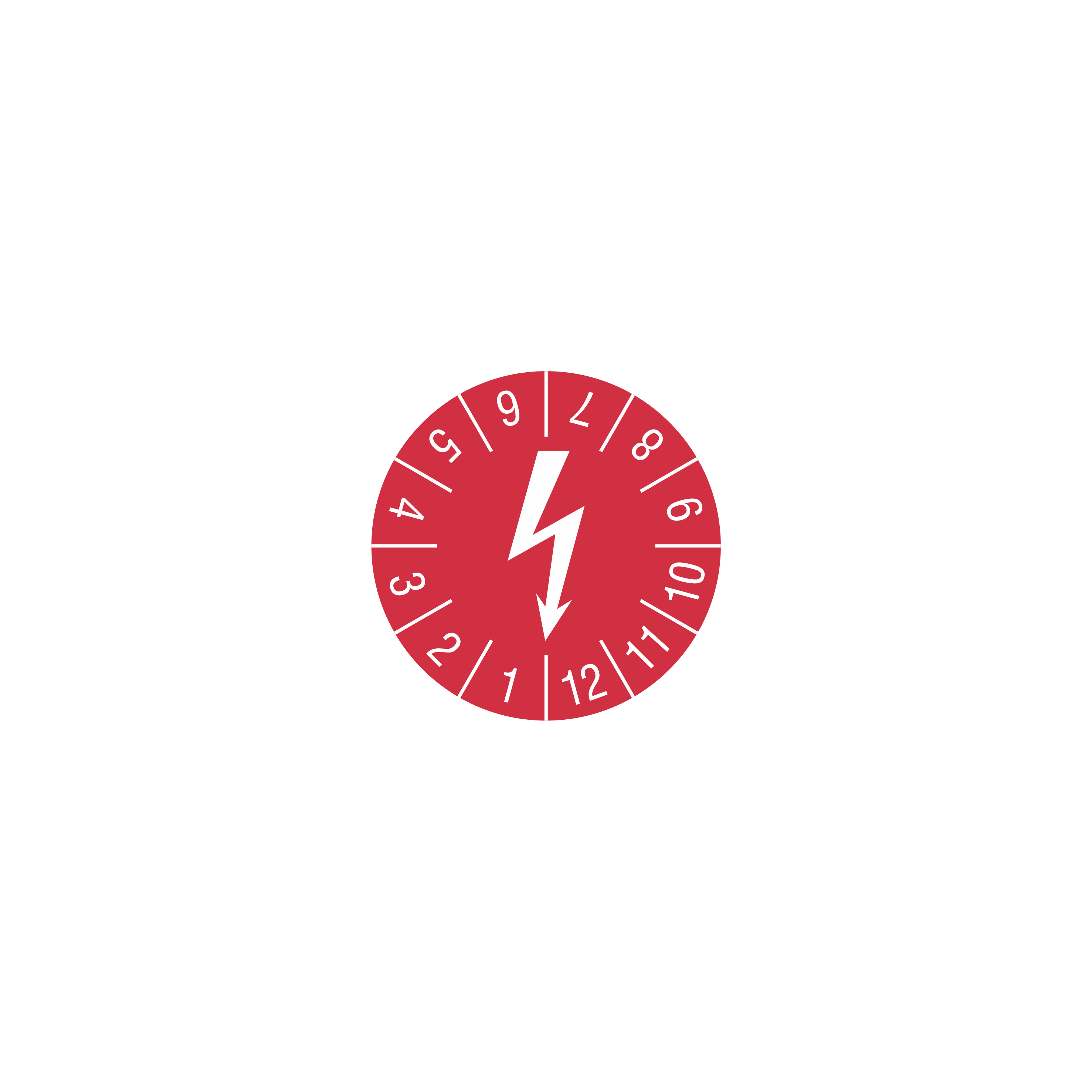 Prüfetiketten / Symbol Blitz / 12 Monate