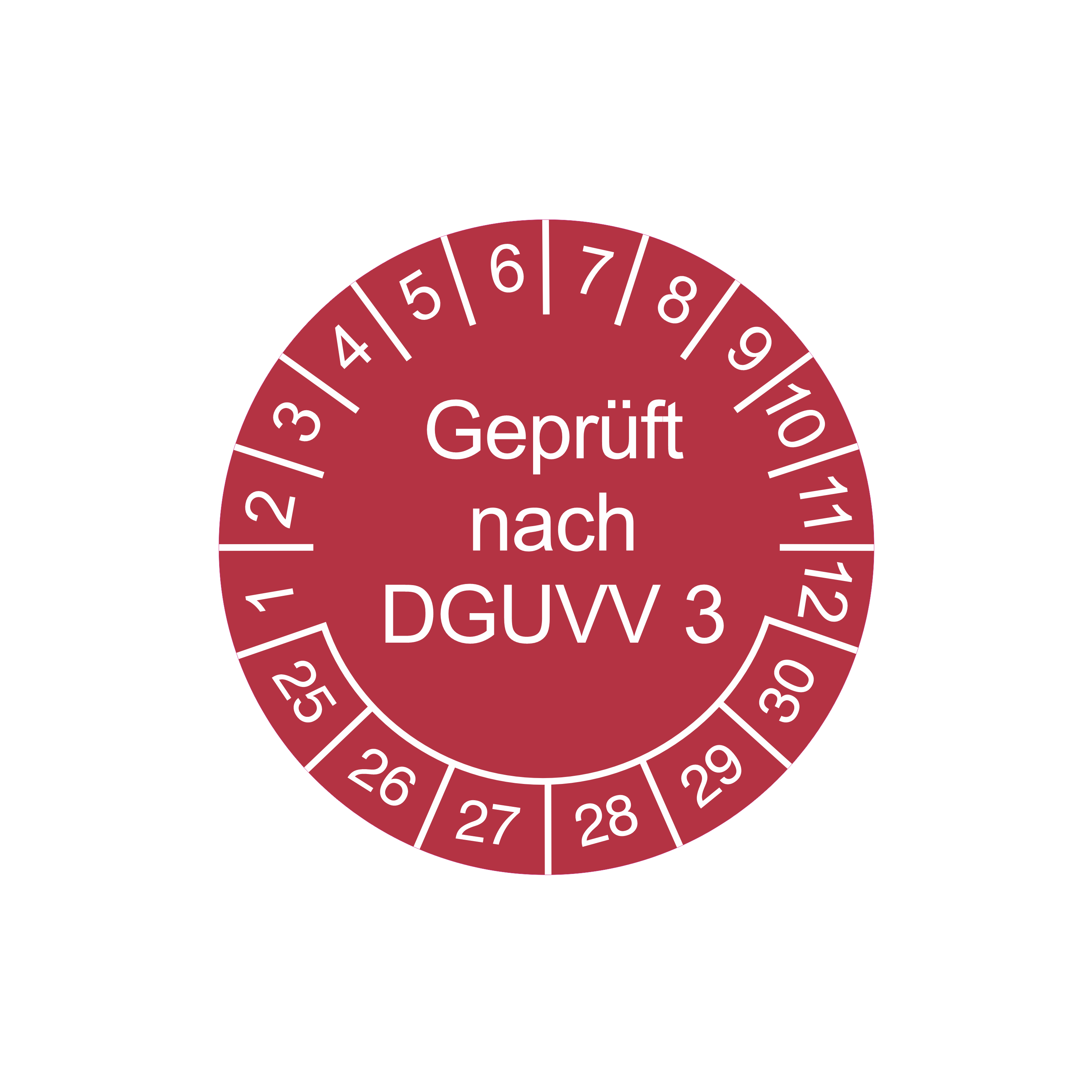 Prüfetiketten / geprüft nach DGUVV 3 / für 6 Jahre