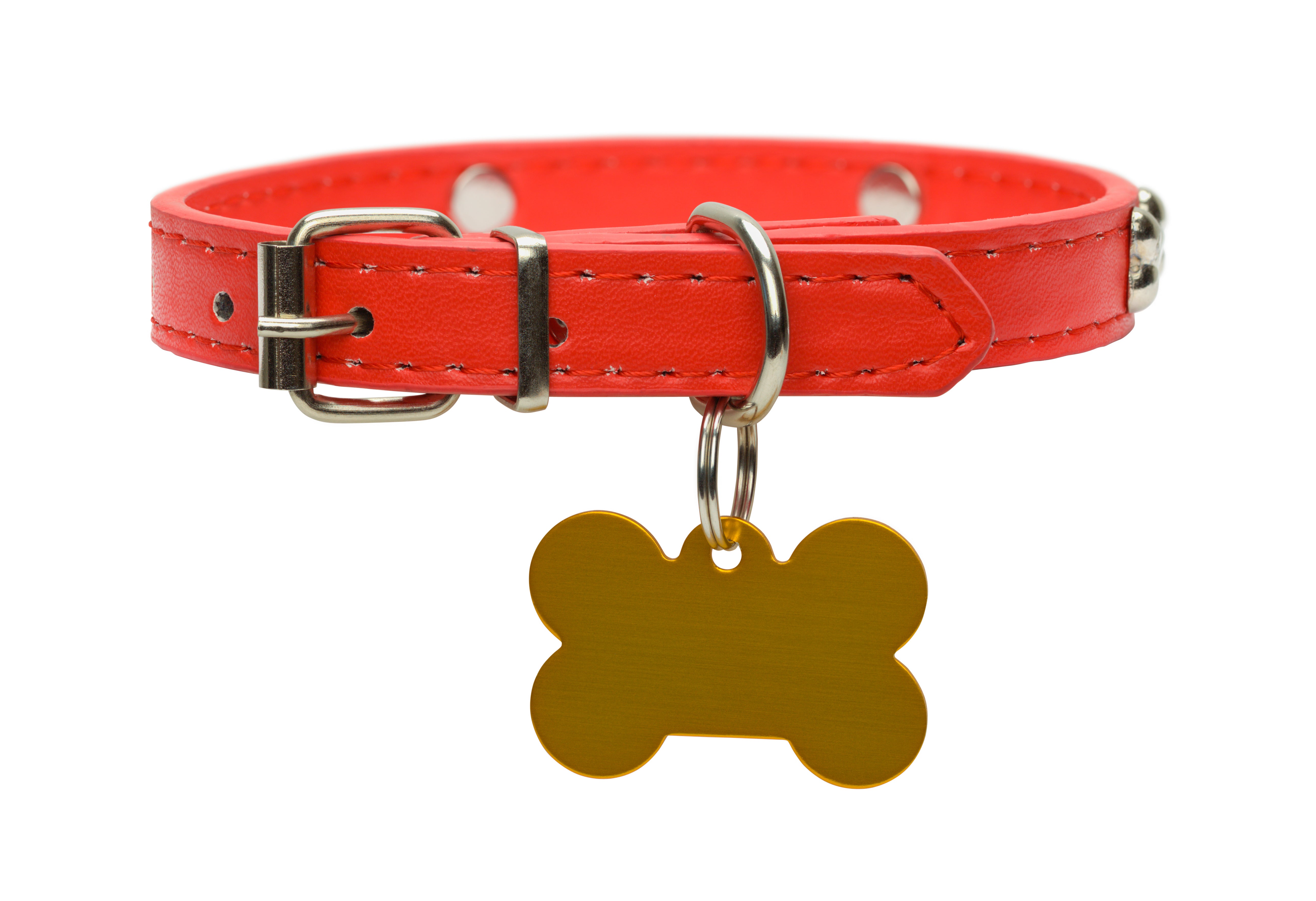 Hunde Anhänger